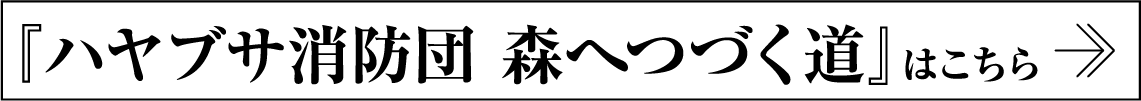 『ハヤブサ消防団 森へつづく道』はこちら