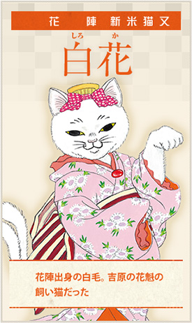 「猫君」キャラ